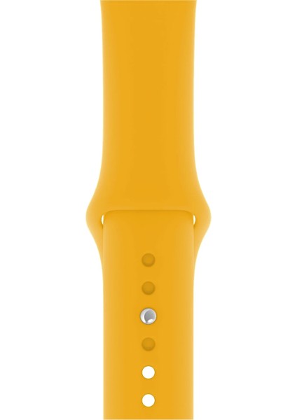 Watch 2 3 4 5 6 7 8 9 Se 38 40 41MM Uyumlu Spor Silikon Kordon Altuni