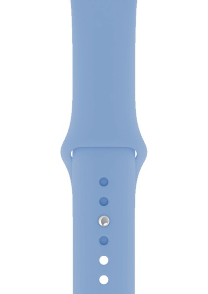 Watch 2 3 4 5 6 7 8 9 Se 38 40 41MM Uyumlu Spor Silikon Kordon Retro Mavi Kayış