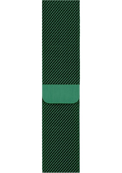 Watch 2 3 4 5 6 7 8 9 Se 38 40 41MM Uyumlu Milano Çelik Kordon Viridiyen