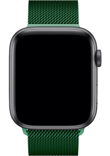 Watch 2 3 4 5 6 7 8 9 Se 38 40 41MM Uyumlu Milano Çelik Kordon Viridiyen modelleri