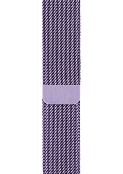 Watch 2 3 4 5 6 7 8 9 Se 42 44 45 49MM Uyumlu Milano Çelik Kordon Purple