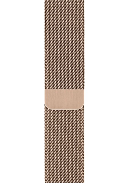 Watch 2 3 4 5 6 7 8 9 Se 38 40 41MM Uyumlu Milano Çelik Kordon Light Gold