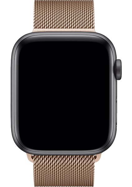 Watch 2 3 4 5 6 7 8 9 Se 38 40 41MM Uyumlu Milano Çelik Kordon Light Gold modelleri