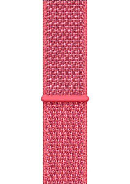 Watch 2 3 4 5 6 7 8 9 Se 38 40 41MM Uyumlu Spor Loop Kordon Raspberry