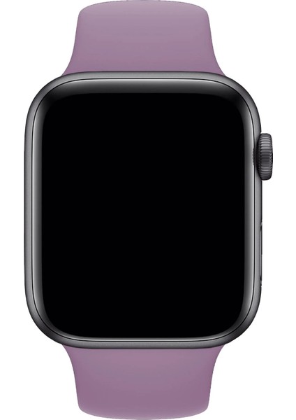 Watch 2 3 4 5 6 7 8 9 Se 38 40 41MM Uyumlu Spor Silikon Kordon Lavanta modelleri