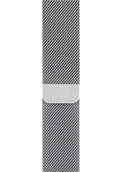 Watch 2 3 4 5 6 7 8 9 Se 38 40 41MM Uyumlu Milano Çelik Kordon Silver
