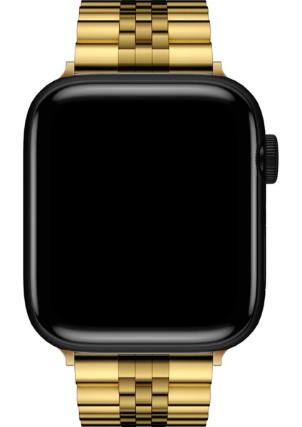 Watch 2 3 4 5 6 7 8 9 Se 42 44 45 49MM Uyumlu Exalted Çelik Kordon Suny modelleri