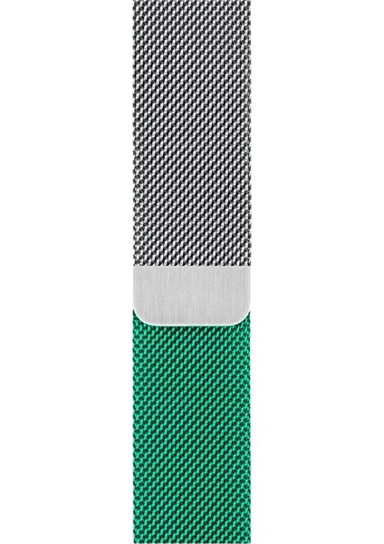 Watch 2 3 4 5 6 7 8 9 Se 42 44 45 49MM Uyumlu Milano Çelik Kordon Silver Yeşil Kayış