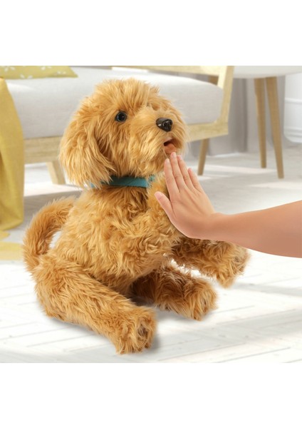 MYJ00101 My Fuzzie Friends Sevimli Labrador Moji - 18207