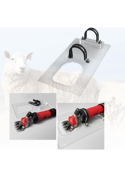 Halı Kurulum Kı I Saç Makinası Ev A (Yurt Dışından) fiyatları