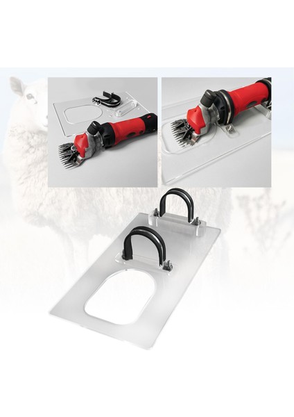 Halı Kurulum Kı I Saç Makinası Ev A (Yurt Dışından) modelleri