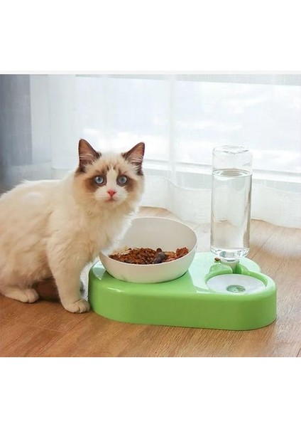 Pet Kaseler Köpek Gıda Su Besleyici Pet Içme Bulaşık Besleyici Kedi Yavru Besleme Malzemeleri Küçük Köpek Aksesuarları Kaymaz Kedi Kulakları | Köpek Besleme (Yurt Dışından) fiyatları