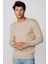 Slim Fit Bisiklet Yaka Desenli Taş Erkek Kazak 3