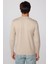 Slim Fit Bisiklet Yaka Desenli Taş Erkek Kazak 5