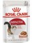 Pouch Gravy Instinctive Yaş Kedi Maması 85 gr 2