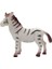Vahşi Hayvanlar Serisi -Zebra 1