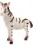Vahşi Hayvanlar Serisi -Zebra 2