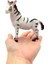 Vahşi Hayvanlar Serisi -Zebra 4