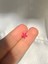 Nature Cerrahi Çelik Pembe Çiçekli Gold Renk 1cm Çap Piercing 1