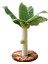 Kapalı Içinırmığı Ağacıırmığı 25CM (Yurt Dışından) 1