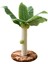Kapalı Içinırmığı Ağacıırmığı 25CM (Yurt Dışından) 3