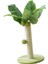 Kapalı Içinırmığı Ağacıırmığı Yeşil 25CM (Yurt Dışından) 4