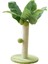 Kapalı Içinırmığı Ağacıırmığı Yeşil 25CM (Yurt Dışından) 5