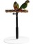 Ahşap T Standı Finch Conures Için Papağan Eğ Ahır Kuş (Yurt Dışından) 5