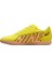 Mercurial Vapor 15 Club Ic Halısaha DJ5969-780 5