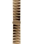 Watch 2 3 4 5 6 7 8 9 Se 38 40 41MM Uyumlu Arnold Çelik Kordon Rosiey 1