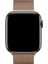 Watch 2 3 4 5 6 7 8 9 Se 38 40 41MM Uyumlu Milano Çelik Kordon Light Gold 3