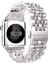 Watch 2 3 4 5 6 7 8 9 Se 38 40 41MM Uyumlu Steel Çelik Kordon Silver 3
