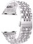 Watch 2 3 4 5 6 7 8 9 Se 42 44 45 49MM Uyumlu Steel Çelik Kordon Silver 1
