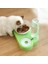 Pet Kaseler Köpek Gıda Su Besleyici Pet Içme Bulaşık Besleyici Kedi Yavru Besleme Malzemeleri Küçük Köpek Aksesuarları Kaymaz Kedi Kulakları | Köpek Besleme (Yurt Dışından) 4