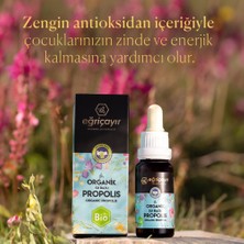 Eğriçayır Organik Su Bazlı Propolis Damla 6 x 20 ml