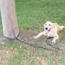 Haitn 3m Çok Fonksiyonlu Çekiş Köpek Eğitim Güvenlik Halat Naylon Köpek Tasma Pet Çekme Dış Köpek Pet Çekme Için Pet Çekme Pet Çekme Tasma | Tasmalar (Yurt Dışından)