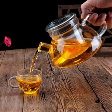 Haitn 700 ml El Yapımı Isıya Dayanıklı Borosilikat Cam Kalın Çay Potu Filtresi Çin Kungfu Çay Tapot Fincan Öğleden Sonra Çay Aksesuar | Çaydanlıklar (Yurt Dışından)