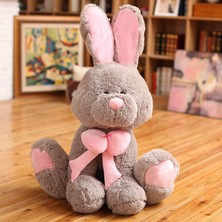 Wenmengke-HB 70CM Net Kırmızı Büyük Tavşan Peluş Oyuncak Easter Bunny (Yurt Dışından)