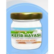 Organic Baby Kafkas Kefir Mayası