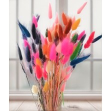 Hidden Botanics Şoklanmış Pamuk Otu, Karışık Renk 35 Dal Ev Dekorasyon Hobi Çiçekleri