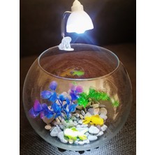 Salıncak Cam Fanus Büyük Boy Paşabahçe ( Mini LED Aksesuarlar ve Dekor Balik Dahil )