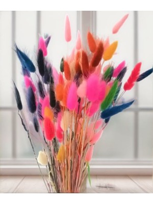 Hidden Botanics Şoklanmış Pamuk Otu, Karışık Renk 35 Dal Ev Dekorasyon Hobi Çiçekleri