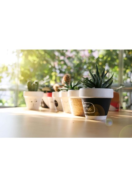 Mini Toprak Saksı - 4cm