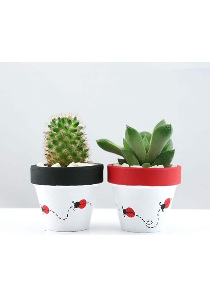 Mini Toprak Saksı - 4cm