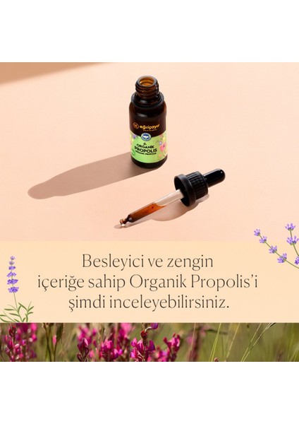 Organik Alkol Bazlı Propolis  3 x 20 ml