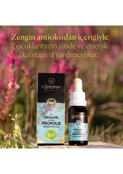 Organik Su Bazlı Propolis Damla 3 x 20 ml