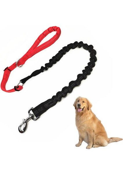 Patlama Korumalı Büyük Köpek Tasması Esneklik Tampon Halat Pet Kurşun Büyük Köpek Zinciri Eğitim Tasmalar Iki Bölümler Yansıtıcı Çekiş | Tasmalar (Yurt Dışından) modelleri