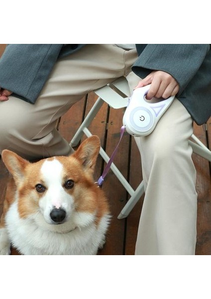 Geri Çekilebilir Köpek Tasma ve Köpek Yaka LED Dokunmatik Hafif Otomatik Çekiş Halatı Küçük Orta Köpekler Için Yürümek Köpek Pet Malzemeleri | Yaka (Yurt Dışından) fırsatları