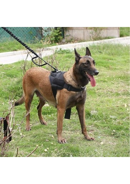 Bungee Köpek Tasma 2 Kolu Kedi Köpek Pet Tasma Elastik Talepler Halat Taktik Köpek Eğitimi Alman Çoban Büyük Köpekler Için Tasmalar | Tasmalar (Siyah) (Yurt Dışından)