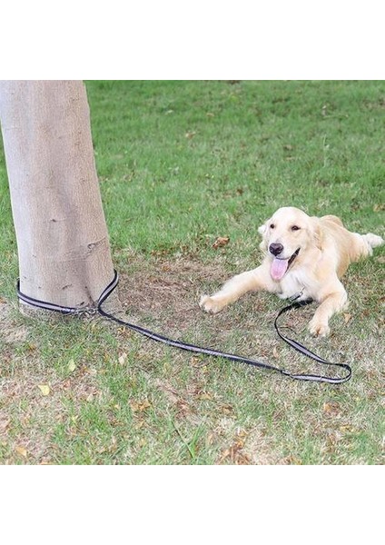 3m Çok Fonksiyonlu Çekiş Köpek Eğitim Güvenlik Halat Naylon Köpek Tasma Pet Çekme Dış Köpek Pet Çekme Için Pet Çekme Pet Çekme Tasma | Tasmalar (Yurt Dışından)